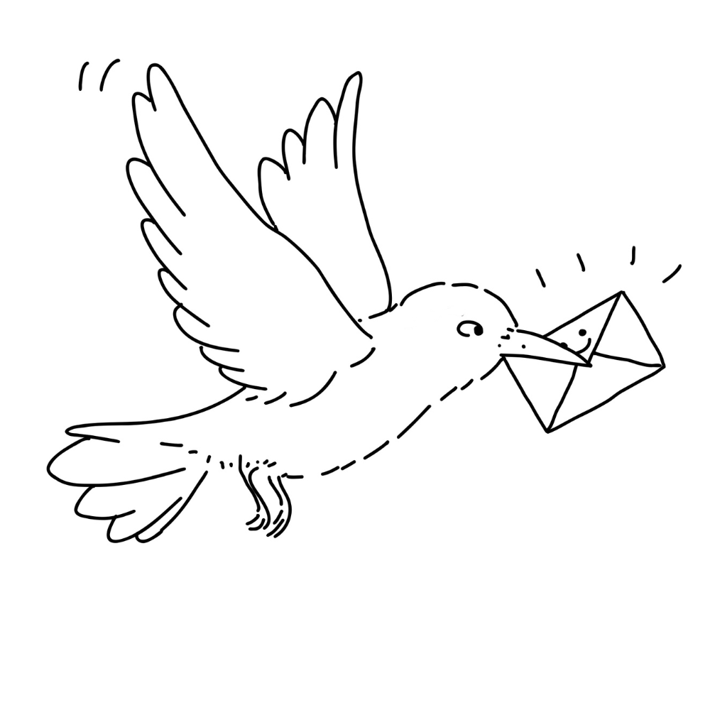 Contact